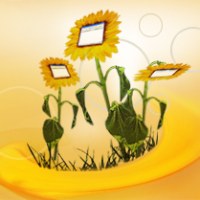 Reformedia Avatar