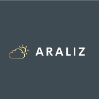 Araliz Consulting Avatar