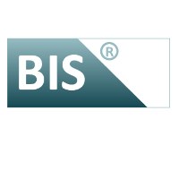 BIS - Business Information Systems Avatar
