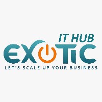 Exotic IT Hub Avatar
