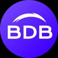 BDB - Business Developer's Bridge Avatar