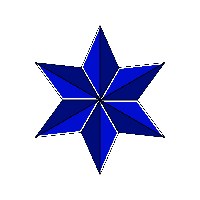 Shine Star Service Avatar