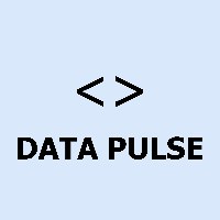 DataPulse Technology Avatar