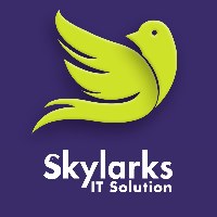 Skylarks IT Solution Avatar