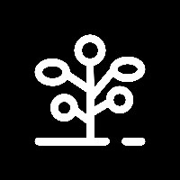PeachTree Studio Avatar