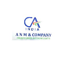 A N M & Company Avatar
