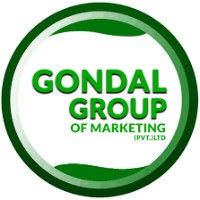 Gondal Digital Marketing Avatar