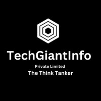 TechGiantInfo Private Limited