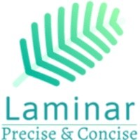 Laminar Business and IT Solutions Avatar