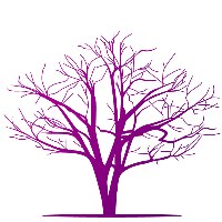 LifeSprint Care Solutions Inc Avatar