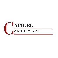 Capidel Consulting Avatar