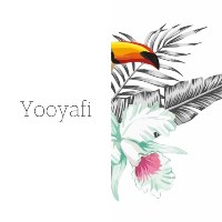 Yooyafi LLC Avatar