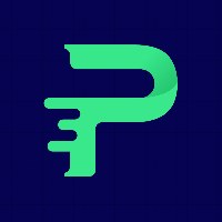 Paklane Technologies and Consulting Avatar
