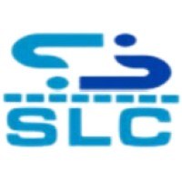 Strong Link IT Solution & Consultant Company Avatar