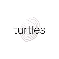 Turtles Global Avatar