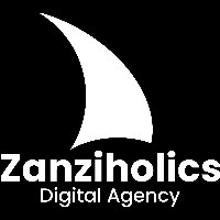 Zanziholics Digital Agency Avatar