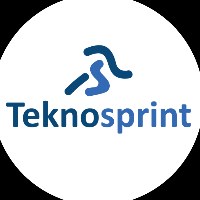 Teknosprint Solutions Inc. Avatar