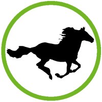 SToFU Systems Avatar