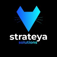 Strateya Solutions 🌐 Avatar
