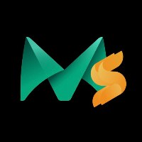 mlxsoft Avatar