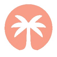 Palm Consulting - Salesforce Consulting and Implementation Services