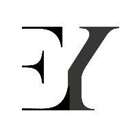 Entity Y Avatar