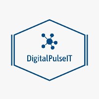 Digital Plus IT Avatar