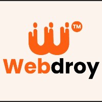 Webdroy Solutions Private limited Avatar
