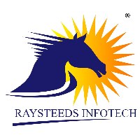 Raysteeds Infotech Private Limited Avatar
