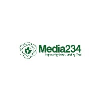 Media234 Avatar