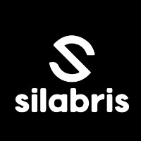 Silabris 🇪🇺 Your AI Transformation Partner Avatar