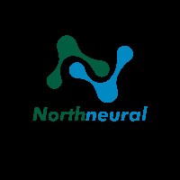Northneural Avatar
