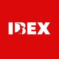 IBEX IT Solutions LLP Avatar