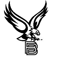 BIllionairebirds Avatar