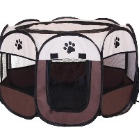 Ajayi Damilare Avatar