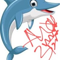 Indus Dolphin E Services Avatar