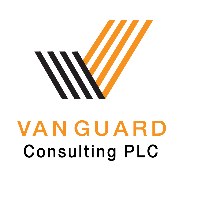 VanGuard Consulting PLC Avatar
