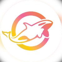 Orca Studio Avatar