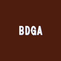BDGA Projects Avatar