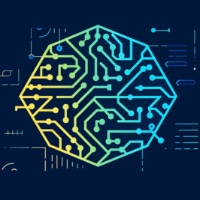 InstaBiz AI Solutions Avatar
