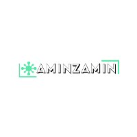 AminZamin - Website Development, Digital Marketing & SEO Services Avatar