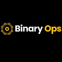 BinaryOps IT Consultancy Avatar