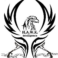 Hawk Intelligence Avatar