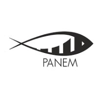 Panem Digital Agency Avatar