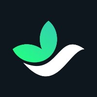 Tooba Design Avatar