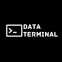 DataTerminal Avatar