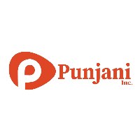 Punjani Inc. Avatar