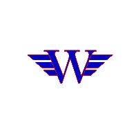 Six Wings International Avatar