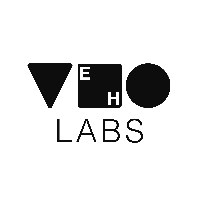 Veholabs UX UI Design Studio Avatar