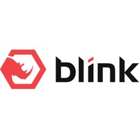 Blink Code Avatar